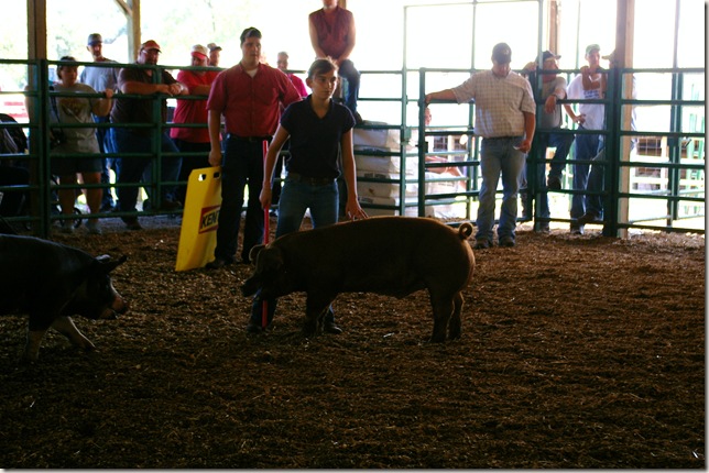 Emily showing her pig