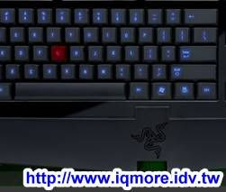 Razer Lycosa 黑腹狼蛛電競薄膜式鍵盤評測 - 老貓測3C