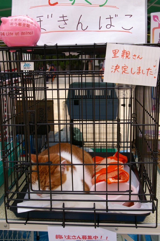 [IMGP283033.jpg]