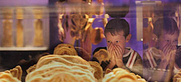 image shows little boy looking at the exhibit above apparently shocked by what he has seen