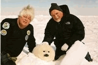 Image shows two men and a white seal pup