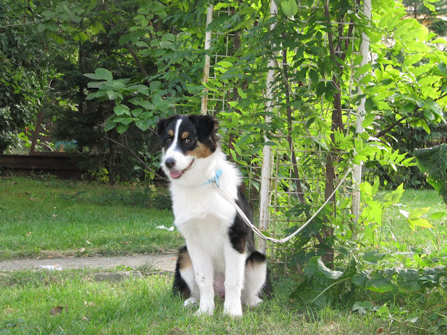 2009-08-17%201059.jpg