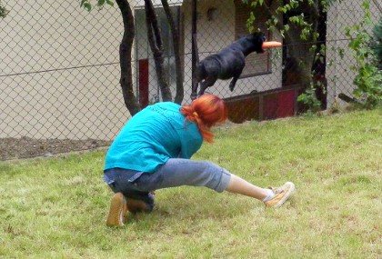 dscf0978_.jpg