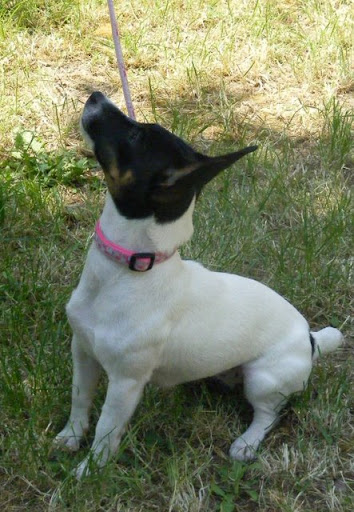 DSCF1264.jpg