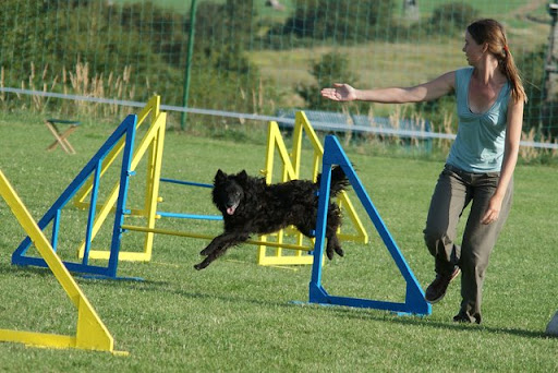 DSC02575%20copy.jpg