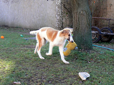 P1010748_edited.JPG