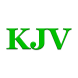 Bible KJV icon