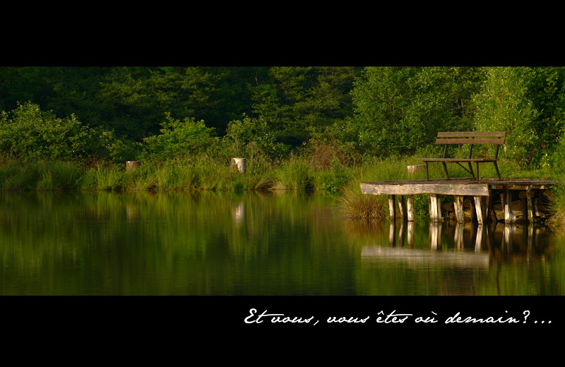 La photo a été prise sur la commune dAnost entre Vaumignon et Velée le samedi 30 mai 2009 vers 20h