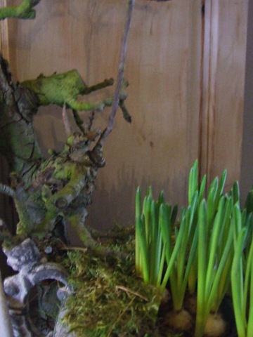 [winter 2010 015[3].jpg]