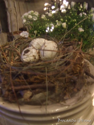 [pasen 2010 006[8].jpg]