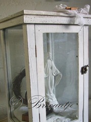 vitrine kastje 009