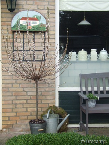 [april 2010 003[4].jpg]