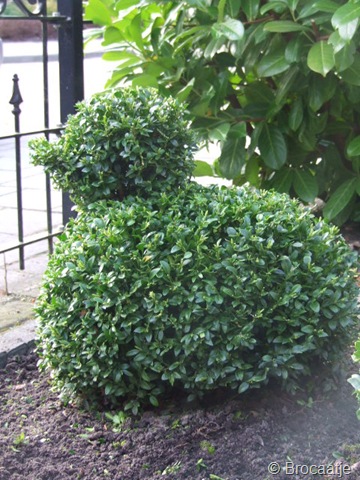 [april 2010 004[4].jpg]