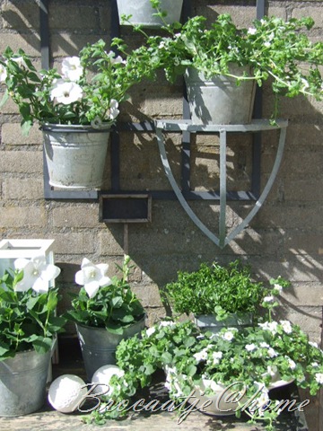 [juni 2009 014[2].jpg]