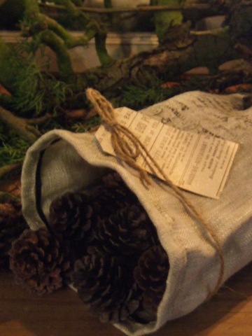 [kerst 2009 033[3].jpg]