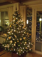 kerst 2009 068