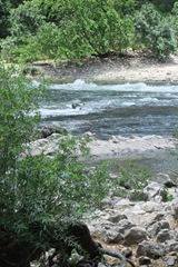 vakantie 2010 055