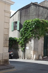 vakantie 2010 032