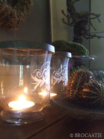 [augustus 30-2010 026[5].jpg]