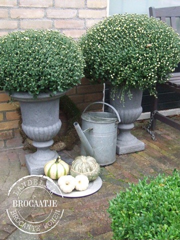 [voortuin 30 september 006[3].jpg]