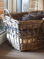 woonkamer november 2010 059