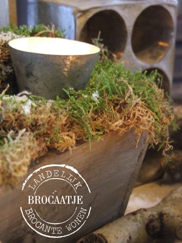 [winter 2110 040[6].jpg]