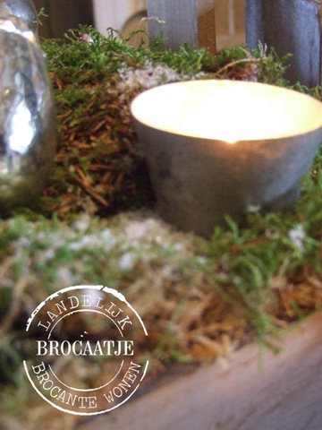 [winter 2110 038[2].jpg]