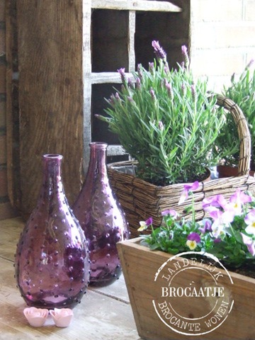 [27 maart 015[8].jpg]