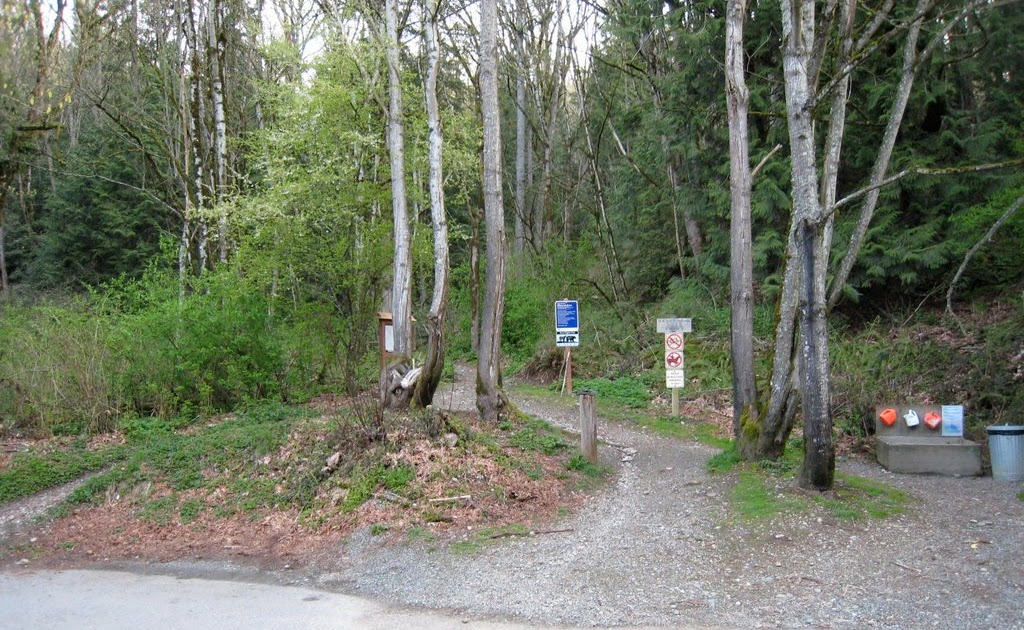 wilderness peak trail
