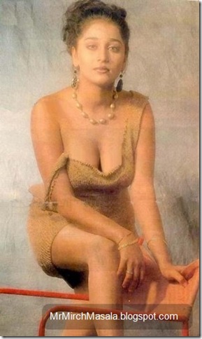 Farheen - The Yesteryear Actress in a Sexy Pose...