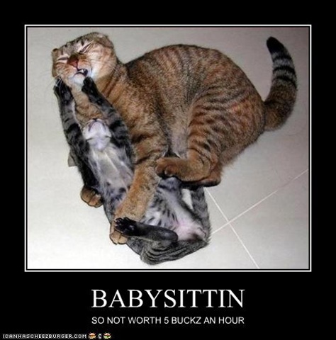 [cat-babysitting[3].jpg]
