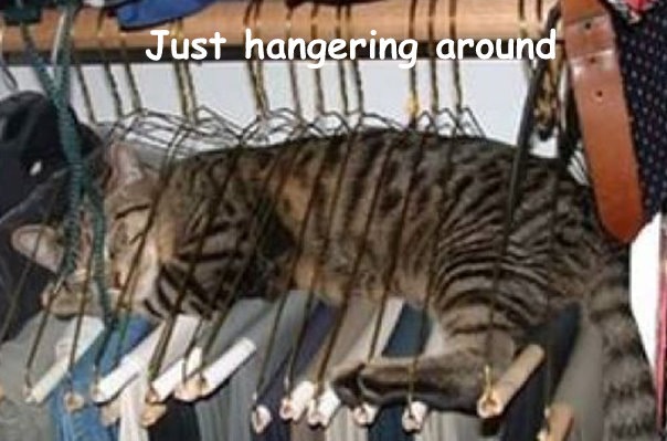 [Just-hangering-around (Small)[3].jpg]