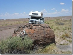 P&N-Petrified-Forest (Small)