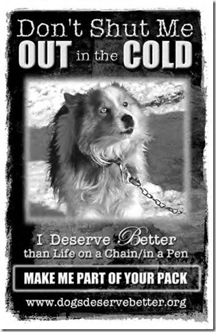 dog-chained-in-cold