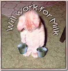 cat-work-for-milk (Small)