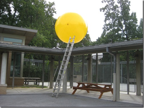 Yellow Balloon 033