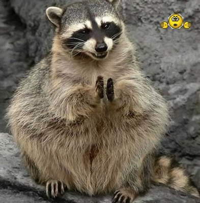 j baby beginning names with girl j start that with animals