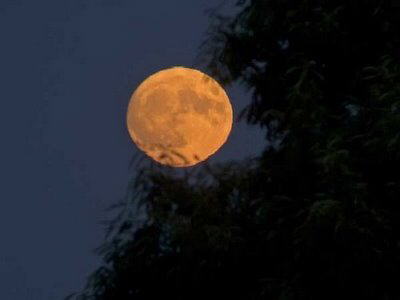 Playing with the moon