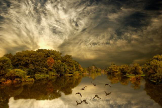 Color of Nature: Shades of Light