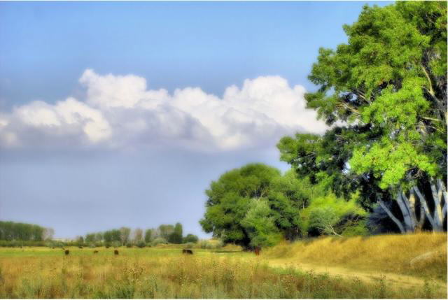 Color of Nature: Shades of Light