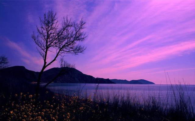 Color of Nature: Shades of Light