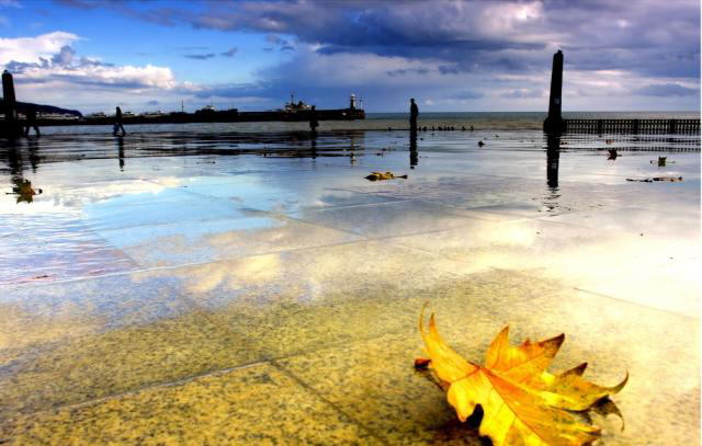 Color of Nature: Shades of Light