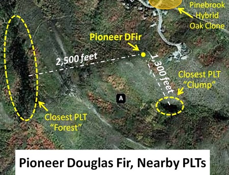 Pioneer DFir Map