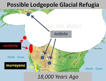 refugia map