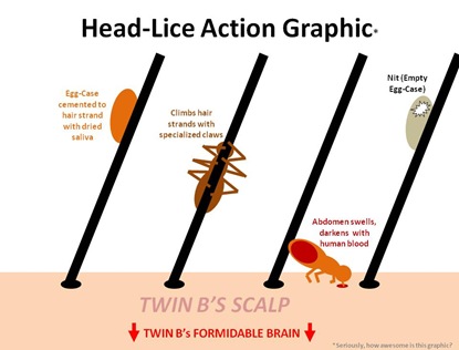 Lice Action