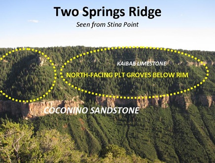 Two Springs Ridge View