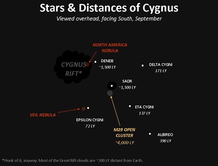Cygnus1
