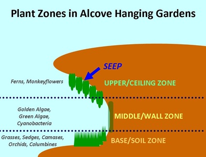 Alcove Plant Zones Diagram