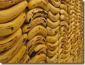 Cambures bananos