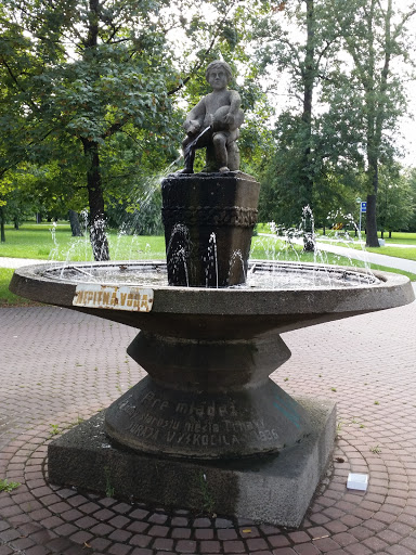 Fountain for the Youth